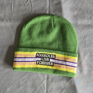Green and Purple Adult Beanie